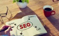 79--laguidaseoperl39aziendab2b.jpg - support wordpress seo plugin seo Dedicated assistance Topper High Visibility